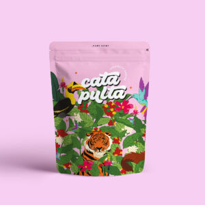 Primavera Colibrí